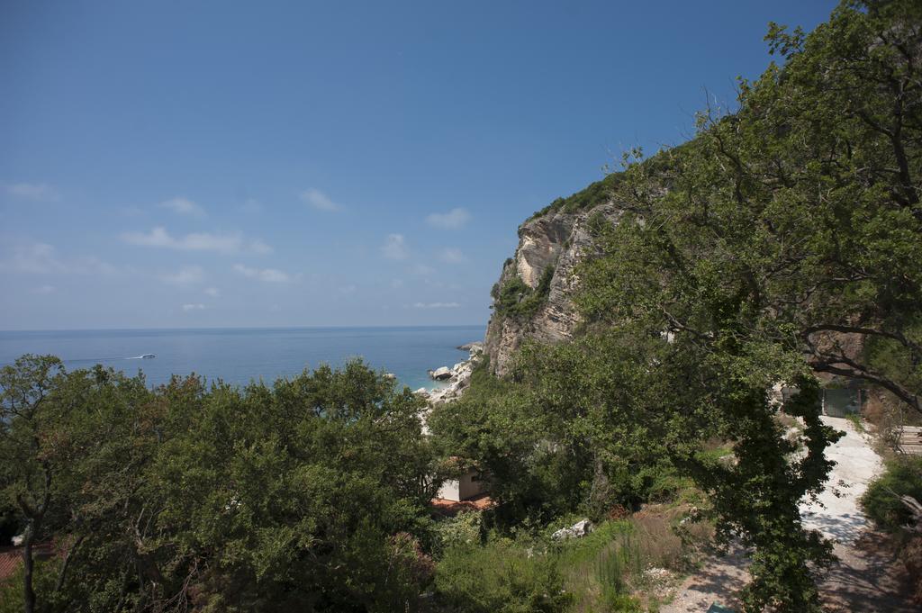 Apartments Villa Simonovic Petrovac Exterior photo
